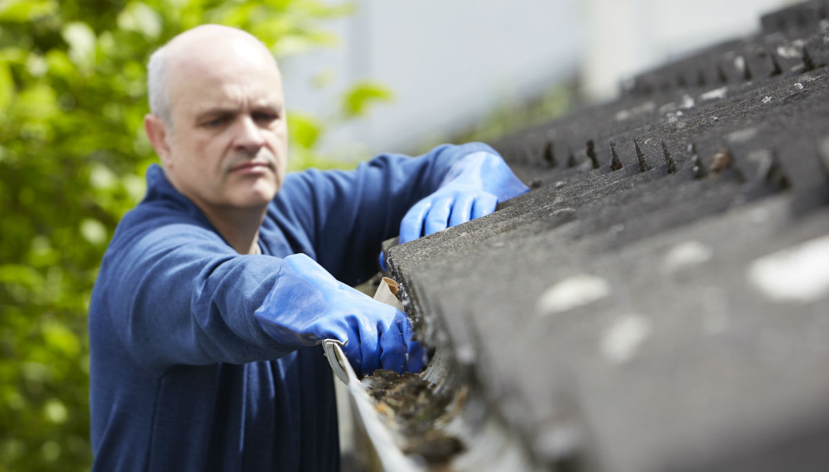 Gutter Cleaning